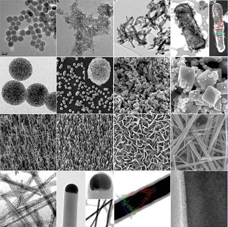 아주대 김동완 교수팀, 박테리아 이용 차세대 배터리 재료 개발