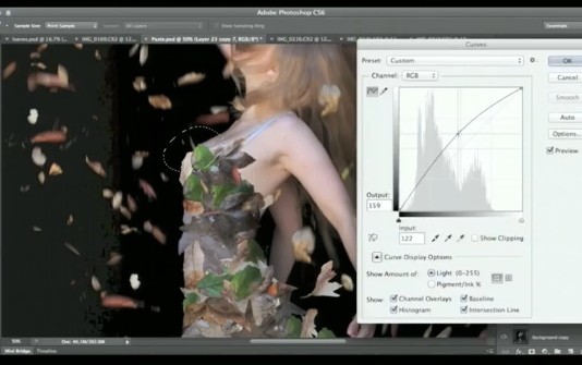 어도비, “2013 포토샵월드”서 포토샵 CC 로드맵 공개