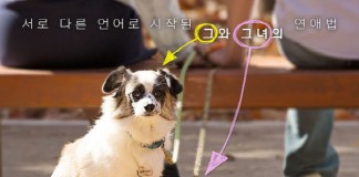 스마트폰 촬영 상업영화 ‘그 강아지 그 고양이’ 개봉