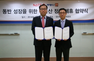 네이트, 부동산 정보 오픈