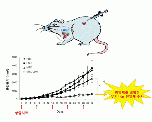 무기나노전달체 이용 암 타깃 치료시대 열려