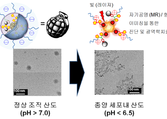 암세포 찾아 자폭하는 ‘나노 수류탄’ 개발