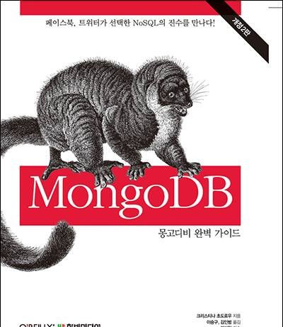 몽고디비(MongoDB) 완벽 가이드… N·SQL의 진수