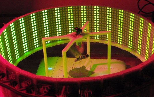 곤충 사이보그(Insect Cyborgs=BioBots)의 등장!