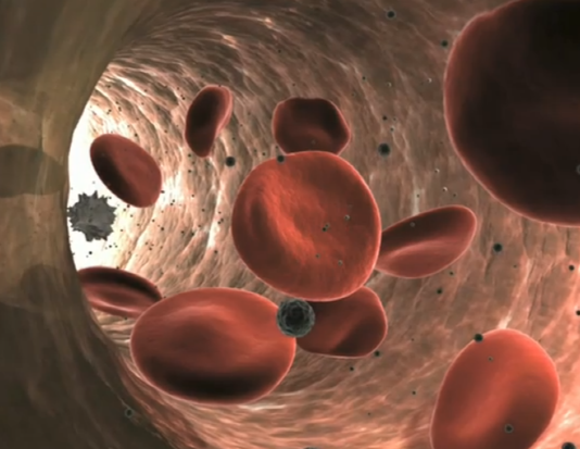 실제보다 더 나은 인공 적혈구 개발…”산소·항암제도 운반 가능”