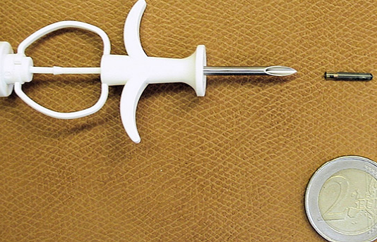 반려동물 등록 ‘내장형 칩’ 일원화 이대로 좋은가