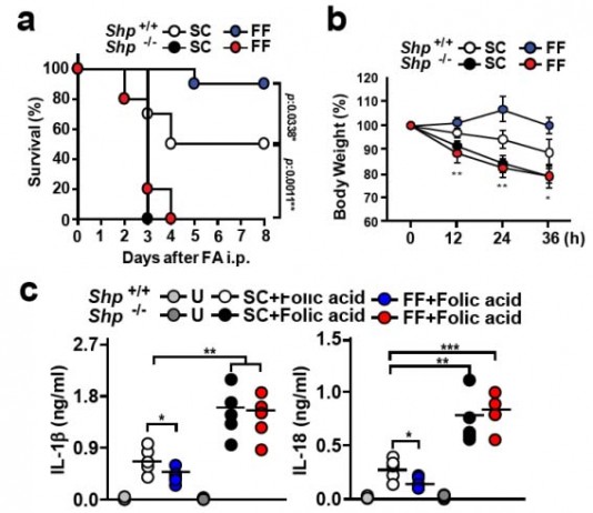 단백질 발현 조절로 통풍 치료 길 열려