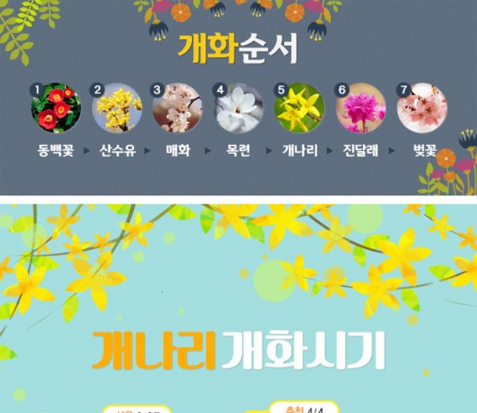 전국 벚꽃 축제 일정…봄꽃 명소는?