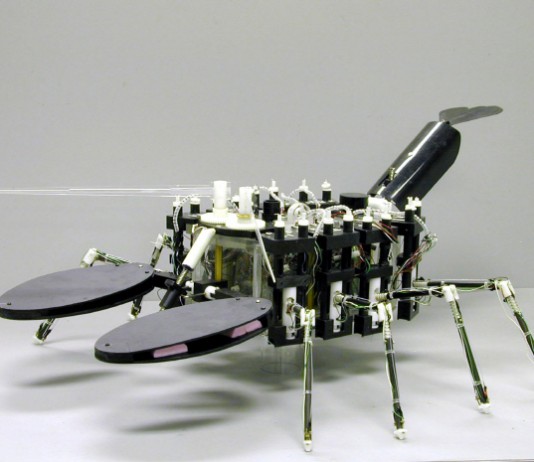 바다가재 로봇 & 하늘을 나는 벌 로봇