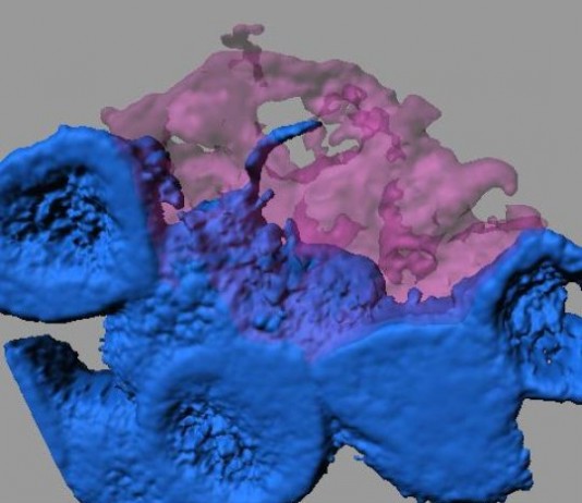 줄기세포들 나노튜브 관 통해 메시지 보내