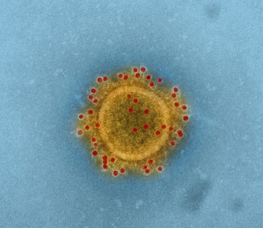 메르스 예방 DNA 백신 개발…재미 한인 과학자 참여