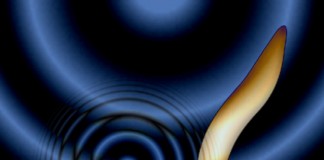 소리로 뇌세포를 제어하는 ‘소리유전학’ 등장