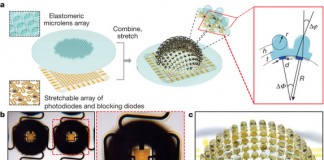 곤충 눈을 모방한 360도 입체영상 카메라