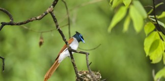 페이스북으로 만나는 해외 사진여행 3 – 인도