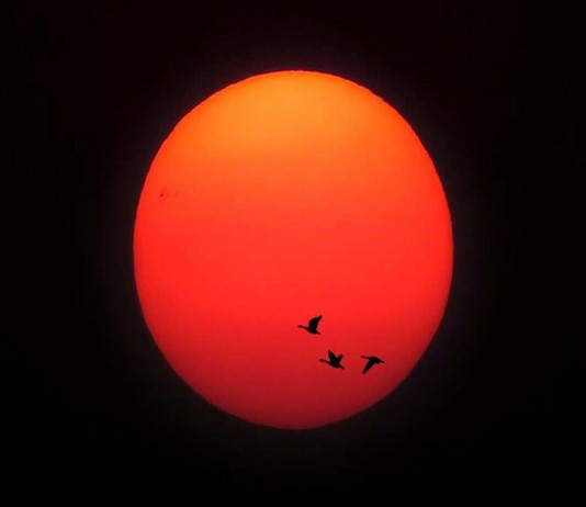 페이스북으로 만나는 해외 사진여행 4 – 인도