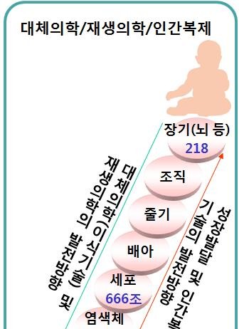 3절 대체의학·재생의학의 발전방향