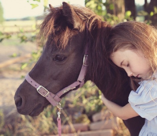시골 농장에서 자란 아이들, 천식과 알레르기에 강해