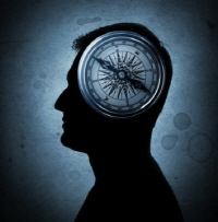 두뇌 그리드(Grid) 뉴런 세포, GPS뿐만아니라 사건도 통째로 기억