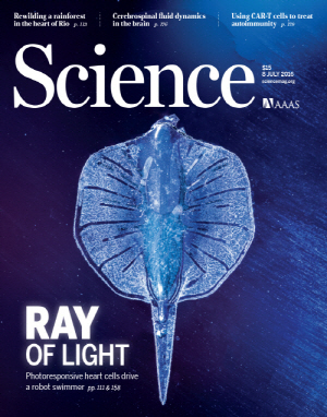 미래부, ‘소프트로봇’ 연구 7년간 125억원 투자