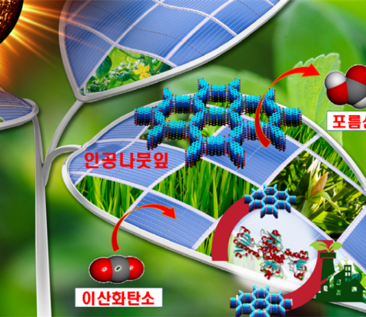 ‘플라스틱 나뭇잎’으로 태양광 화학공장 만든다