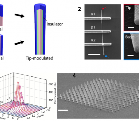 생체 내부 빛과 전류 선택 검출 ‘나노선 센서’ 개발