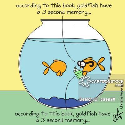 물고기의 기억력은 진짜 3초일까 ?