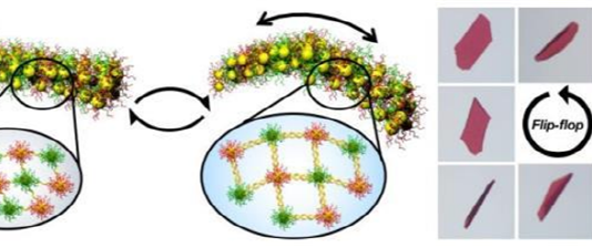 DNA 미세로봇 개발…A,T,G,C ‘4진수’ 정보 이용