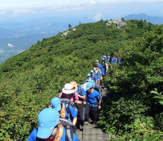 산림청, 전국 2900여개 산 등산로 데이터베이스(DB) 공개