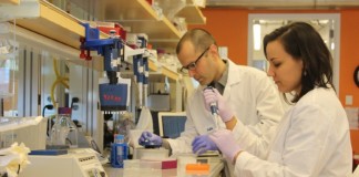 DNA에 ‘PC OS’와 ‘영화’를 디지털로 저장하다