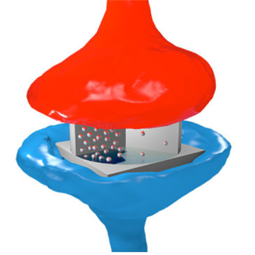 인공두뇌 앞당기는 ‘인공시냅스’ 개발