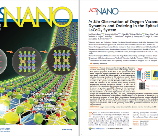 산화물 원자구조 변화 실시간 이미징 관찰 성공