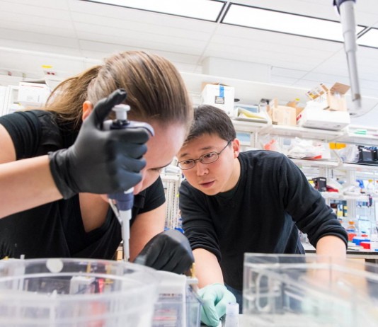 3.5세대 유전자 가위(CRISPR/Cpf1) 논문 분석 2