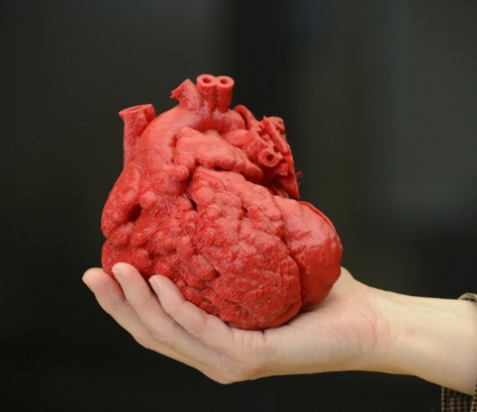 인공장기 ‘바이오-프린팅’ 특허출원 급증