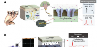 인체모사 무전원 초정밀 인공피부센서 개발