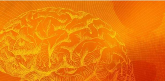 기억력 상실 막을 새로운 치료법 찾아