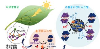 국내 연구팀, 광합성 반응 모방한 리튬공기전지 개발