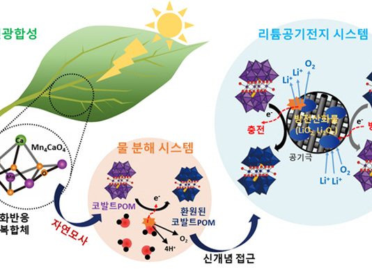 국내 연구팀, 광합성 반응 모방한 리튬공기전지 개발