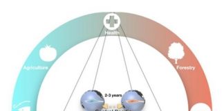 이상기후 원인 ‘엘니뇨’ 비밀 풀다