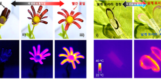 날갯짓하자 색 변하는 나비 로봇 개발