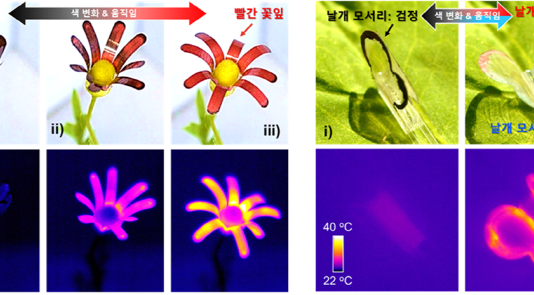 날갯짓하자 색 변하는 나비 로봇 개발