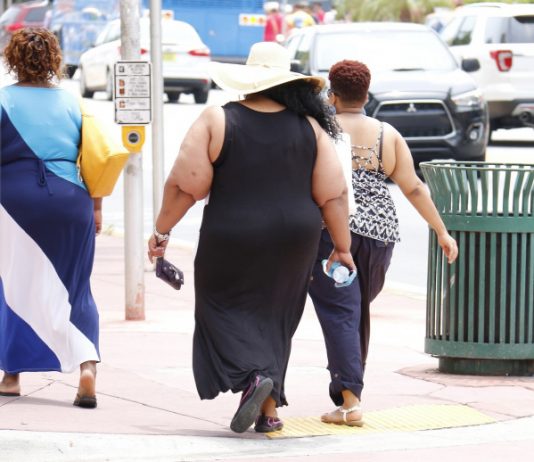 전기신호로 ‘포만감’ 착각 다이어트 장치 개발