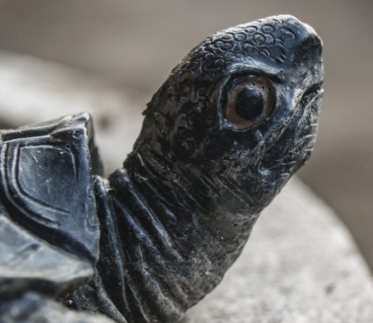 컴퓨터 작업과 거북목증후군