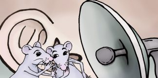 쥐의 대화를 분석·통역하는 딥러닝 AI기술 개발