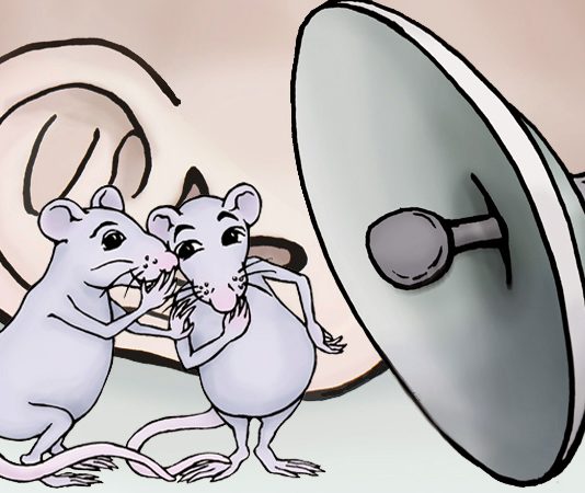 쥐의 대화를 분석·통역하는 딥러닝 AI기술 개발