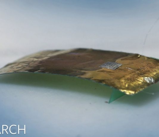 밟아도 죽지 않는 바퀴벌레 로봇