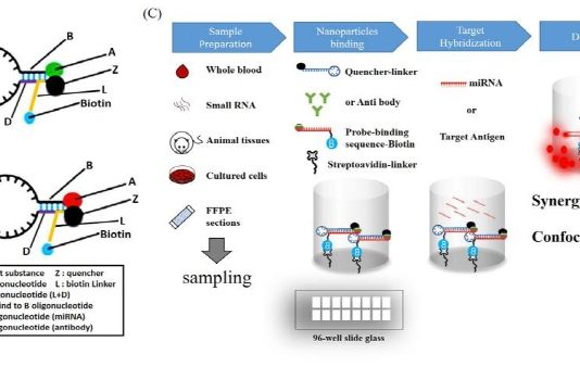 피·땀 한 방울로 알츠하이머 치매 조기 진단