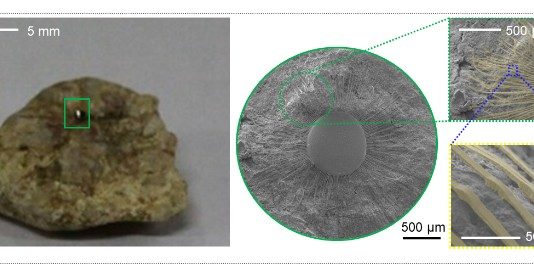 울퉁불퉁한 표면에도 접착 가능한 전자소자 개발