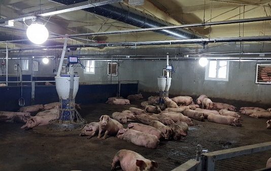 스마트 축사용 센서 19종 국가표준 제정한다