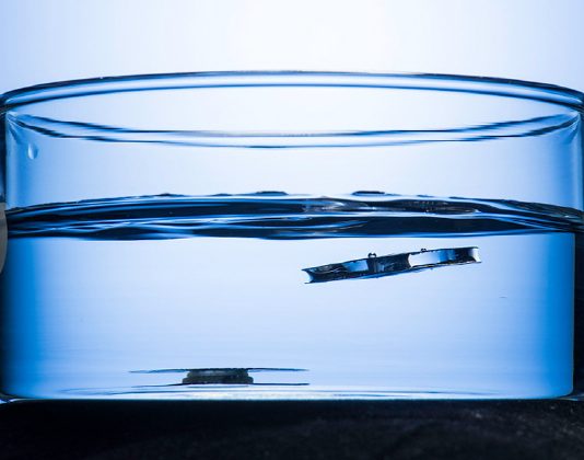 ‘물에 뜨는 금속’ 개발…“불개미와 물거미서 영감 받아”