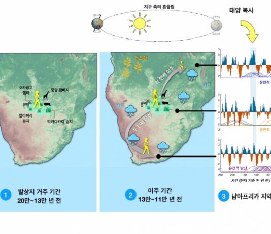 현생인류 아프리카 칼라하리서 첫 출현